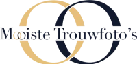 Cropped logo mt.webp